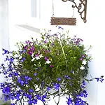 Mit Privatem Garten- Meerblick Und Gemeinschaftspool By Interhome